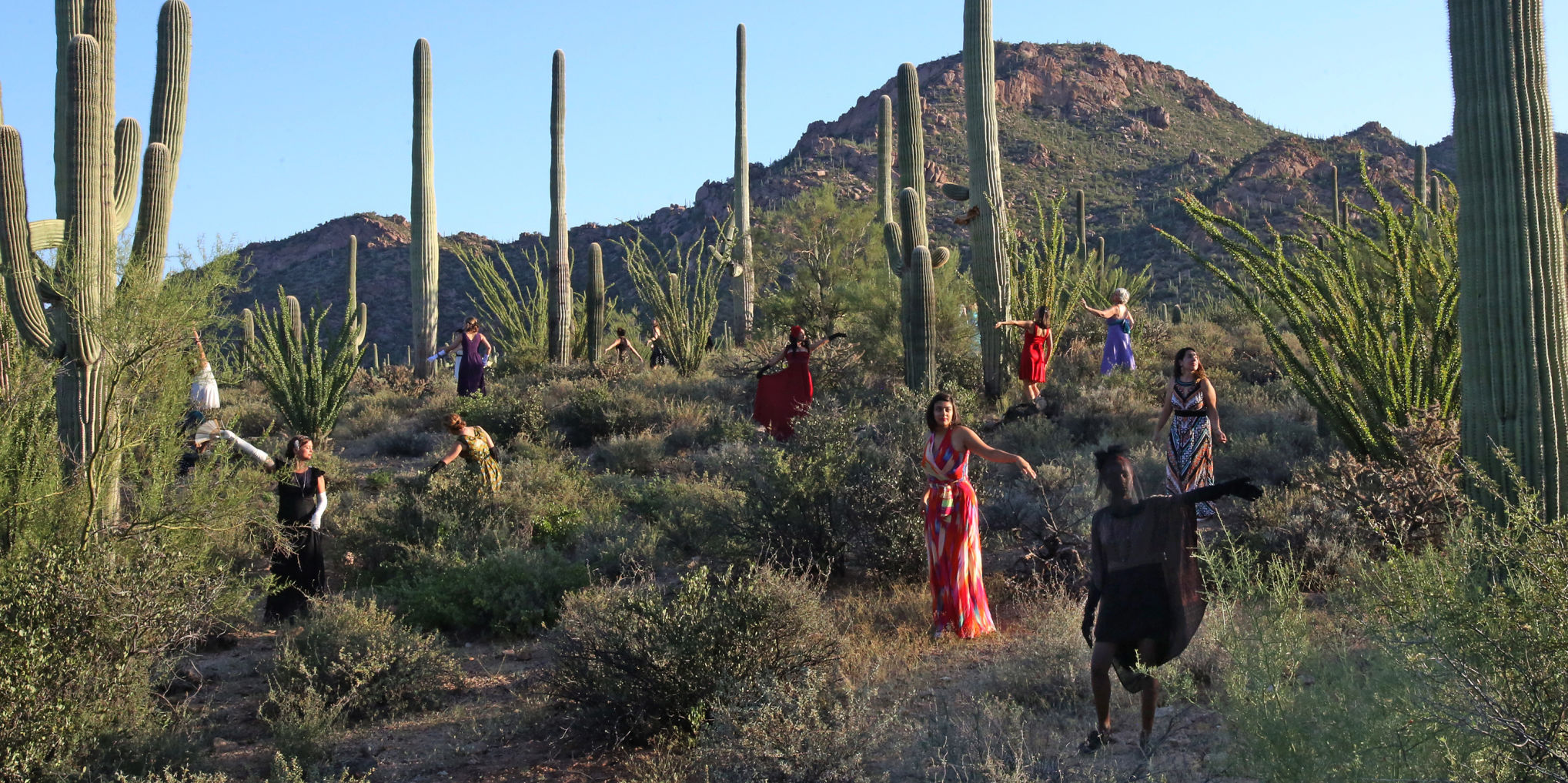 Saguaro Dance
